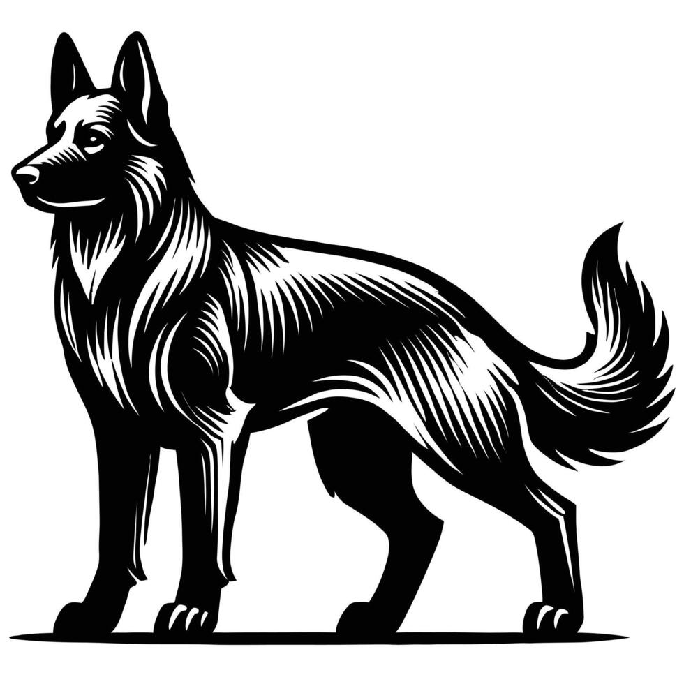 A black and white german shepherd dog standing vector