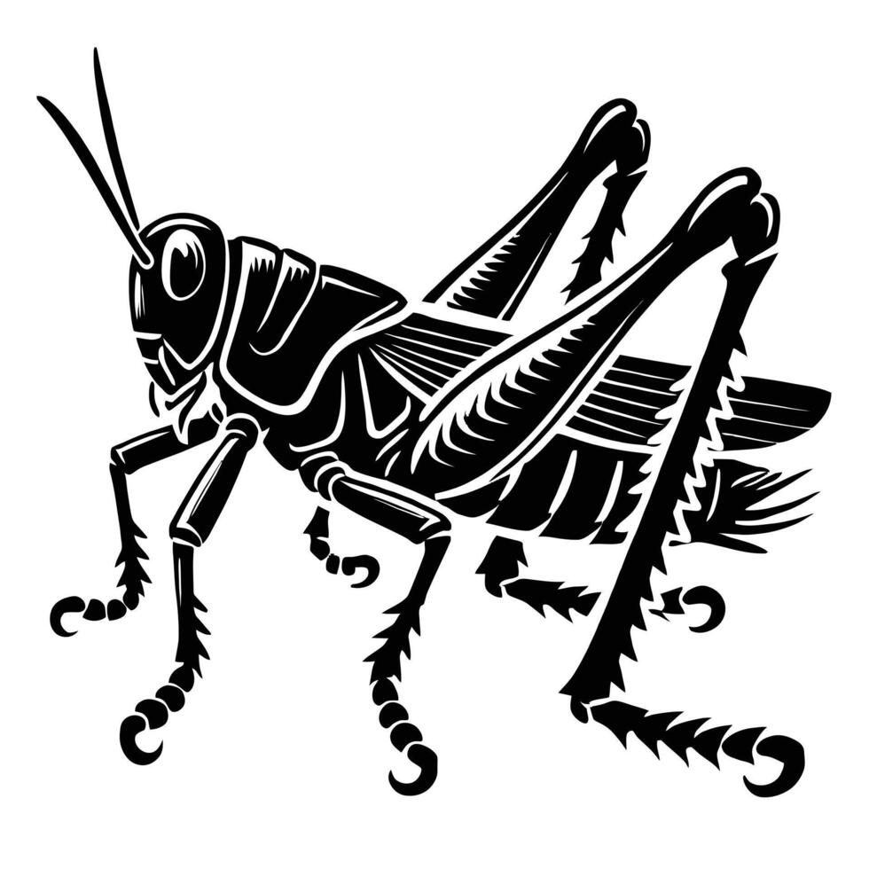 A black and white drawing of a grasshopper vector