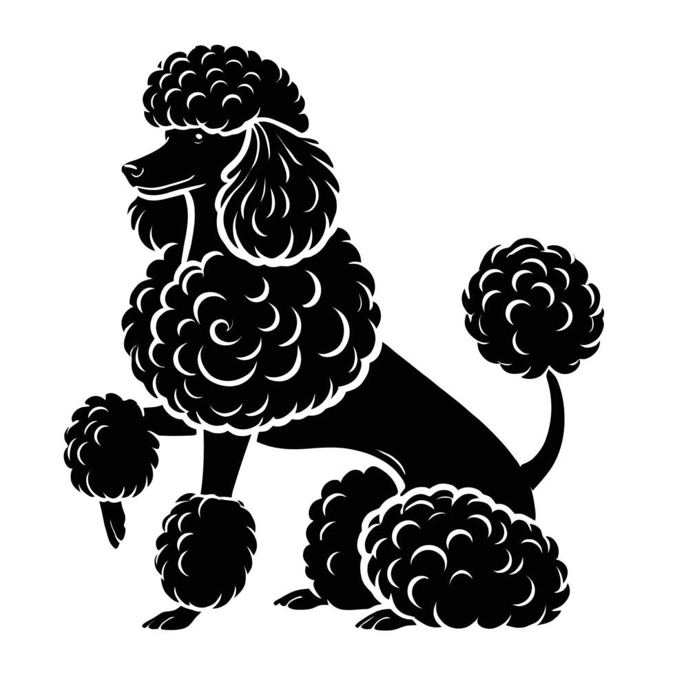 A black and white poodle dog with curly hair vector
