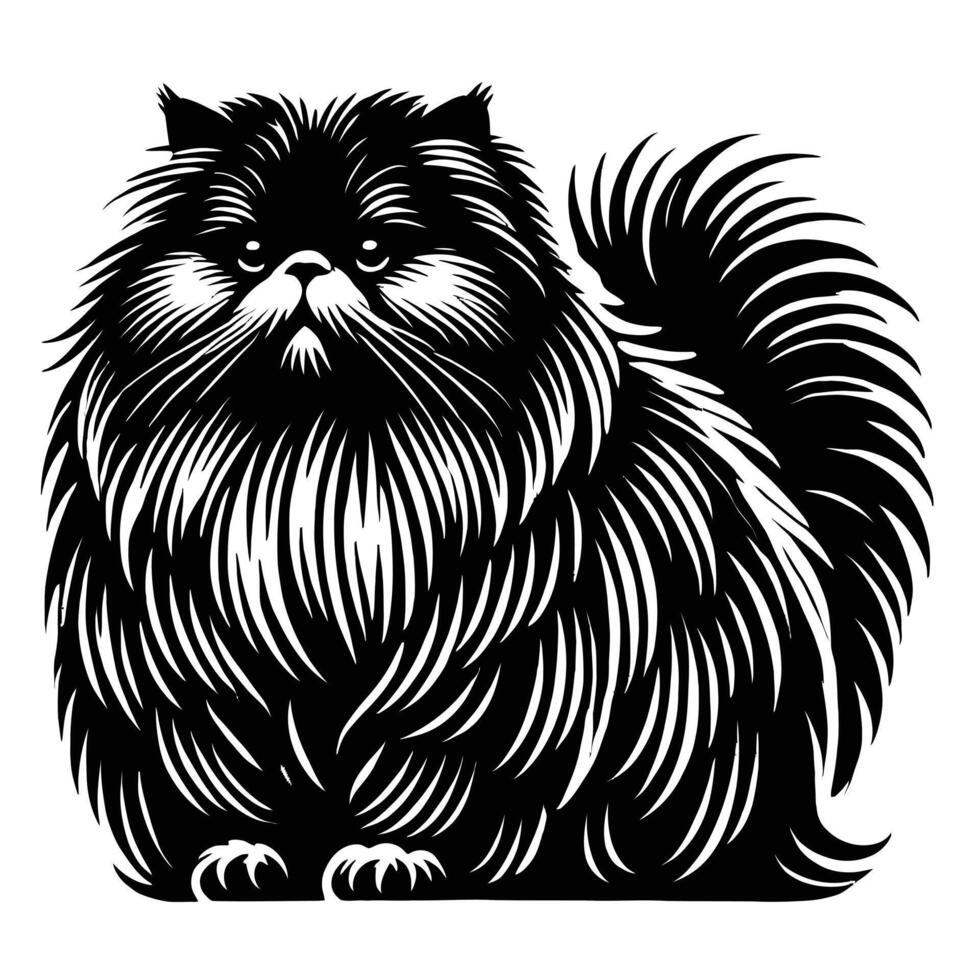 A black and white illustration of a cat with long hair vector
