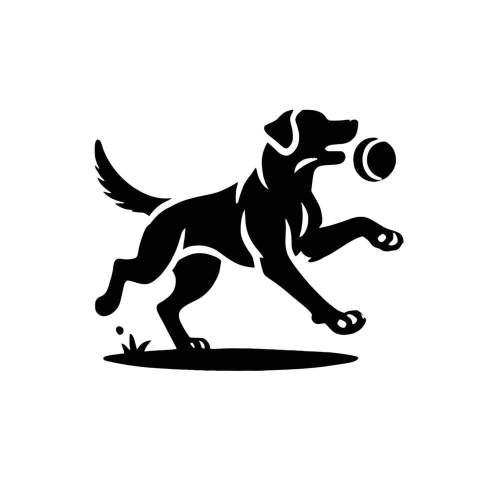 A black and white dog with a ball in its mouth vector