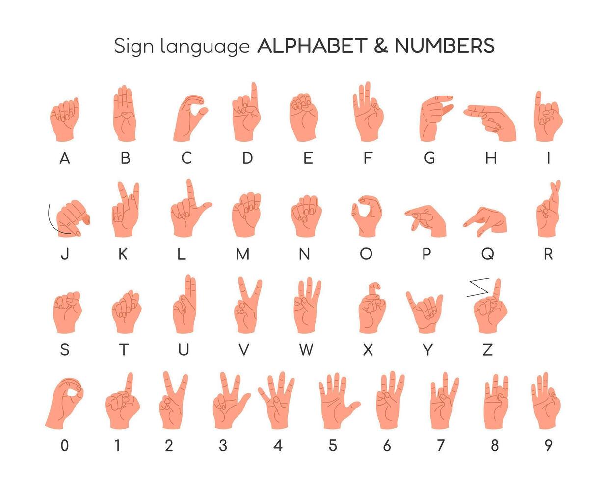 English Sign Language. Dactyl Alphabet and Numbers. Human hands showing different signs for deaf mutes. Nonverbal communication. Educational poster, banner. Isolated illustrations on white. vector