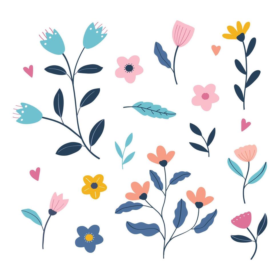 Collection of floral and botanical elements vector