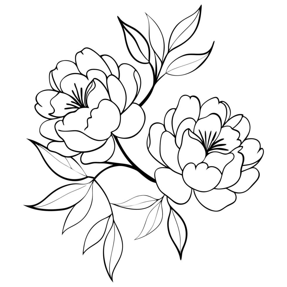 Peony flower line art vector