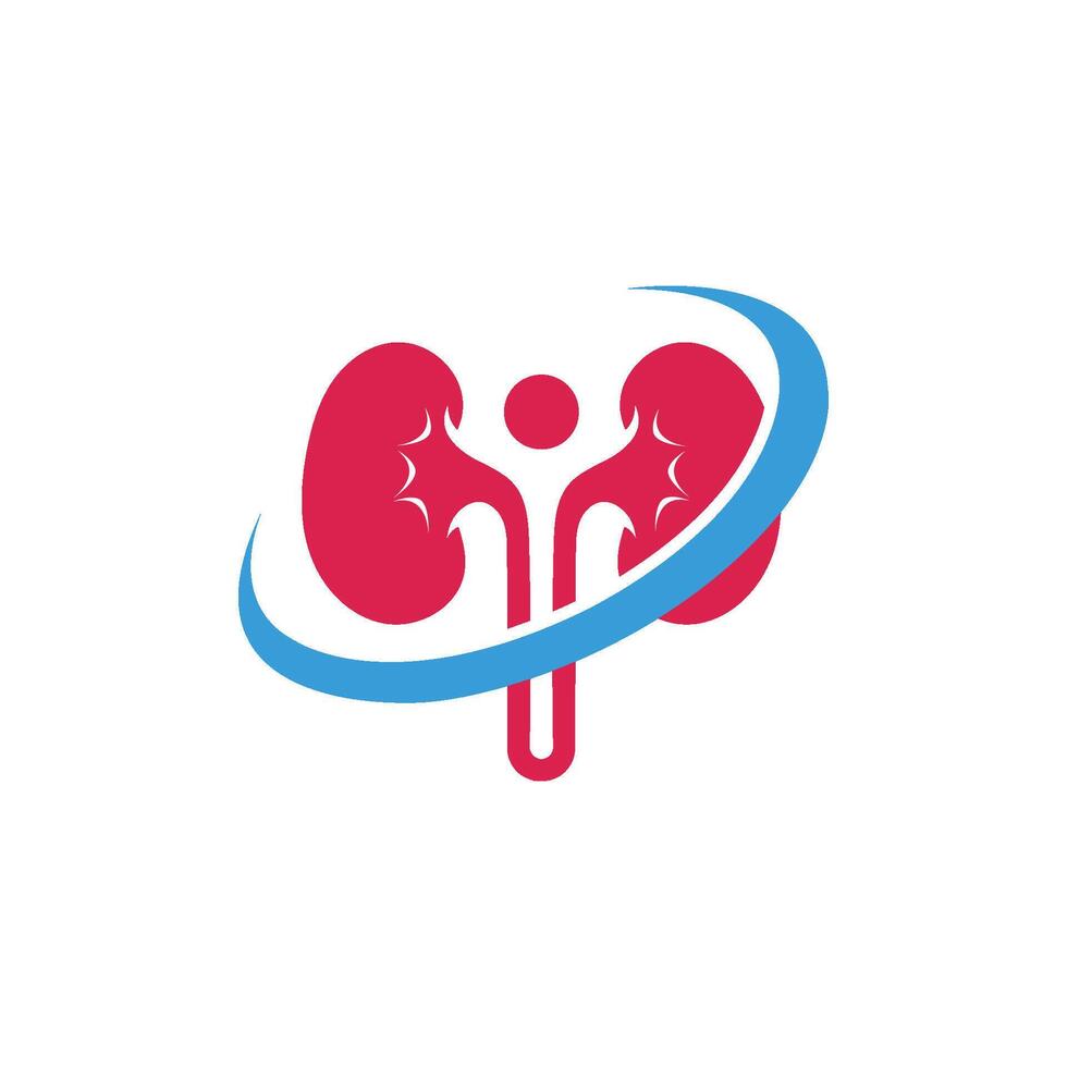 kidney icon logo vector