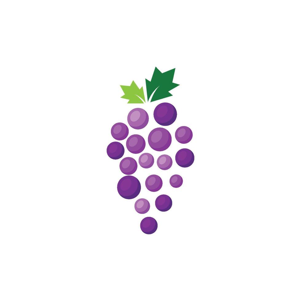 fresh grape design vector