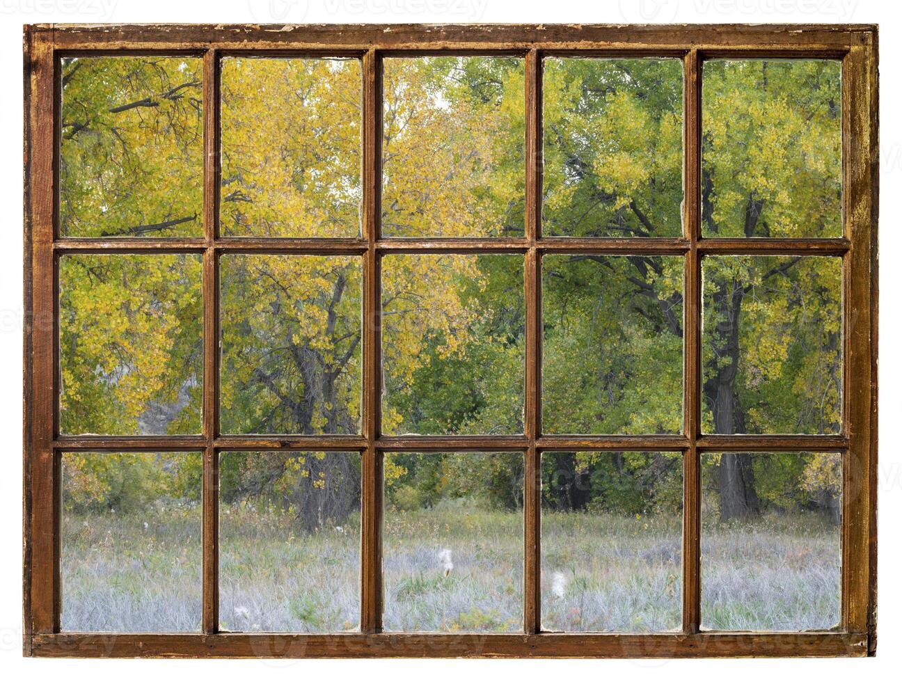 subtle fall colors of forest at dusk in Colorado as seen from a retro sash window photo