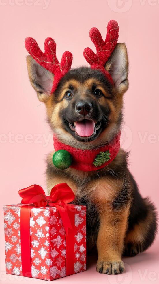 Adorable German Shepherd puppy wears festive red reindeer antlers and holiday scarf, sitting beside wrapped Christmas gift. Perfect for holiday designs, greeting cards, festive marketing photo