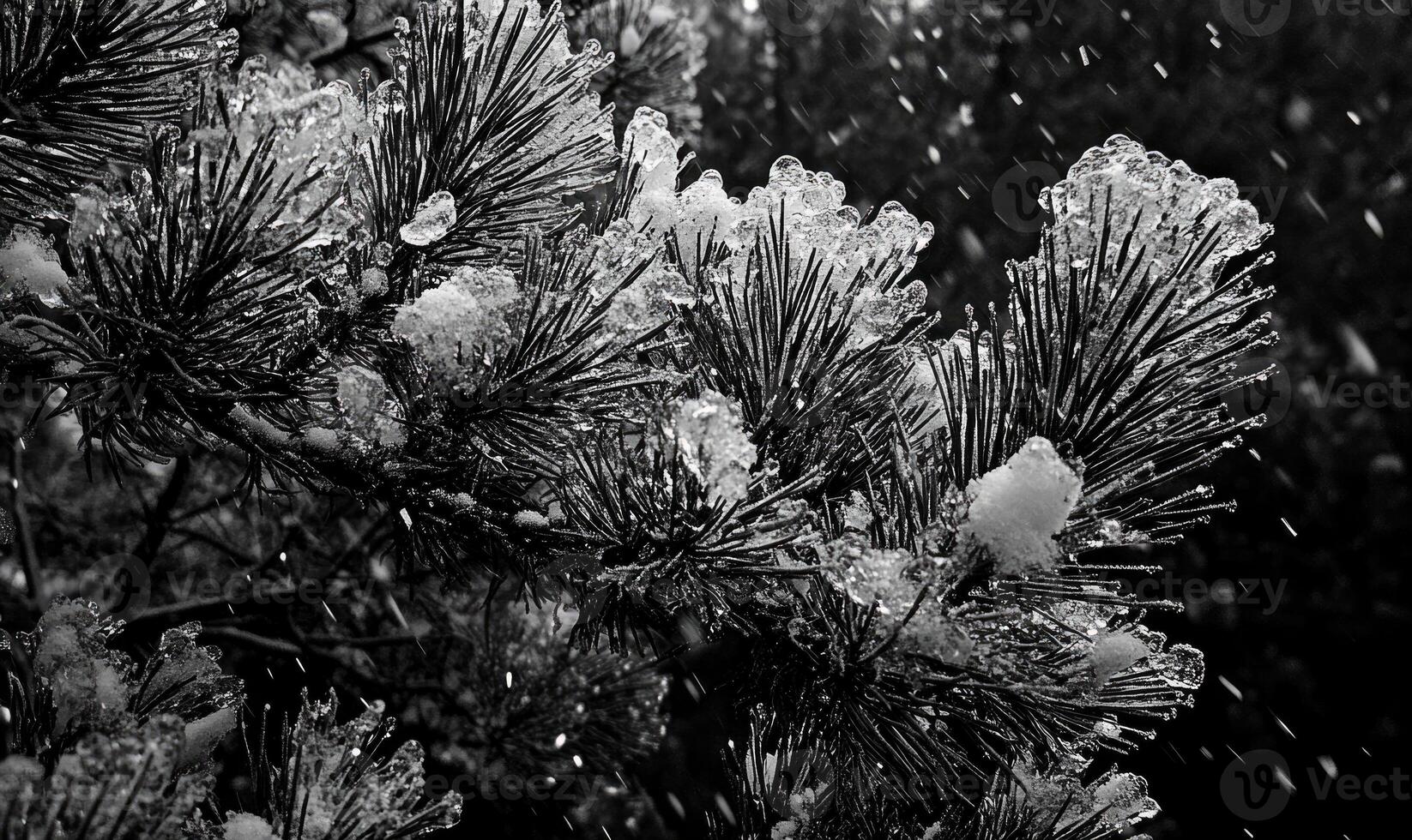 A branch covered in ice and snow photo