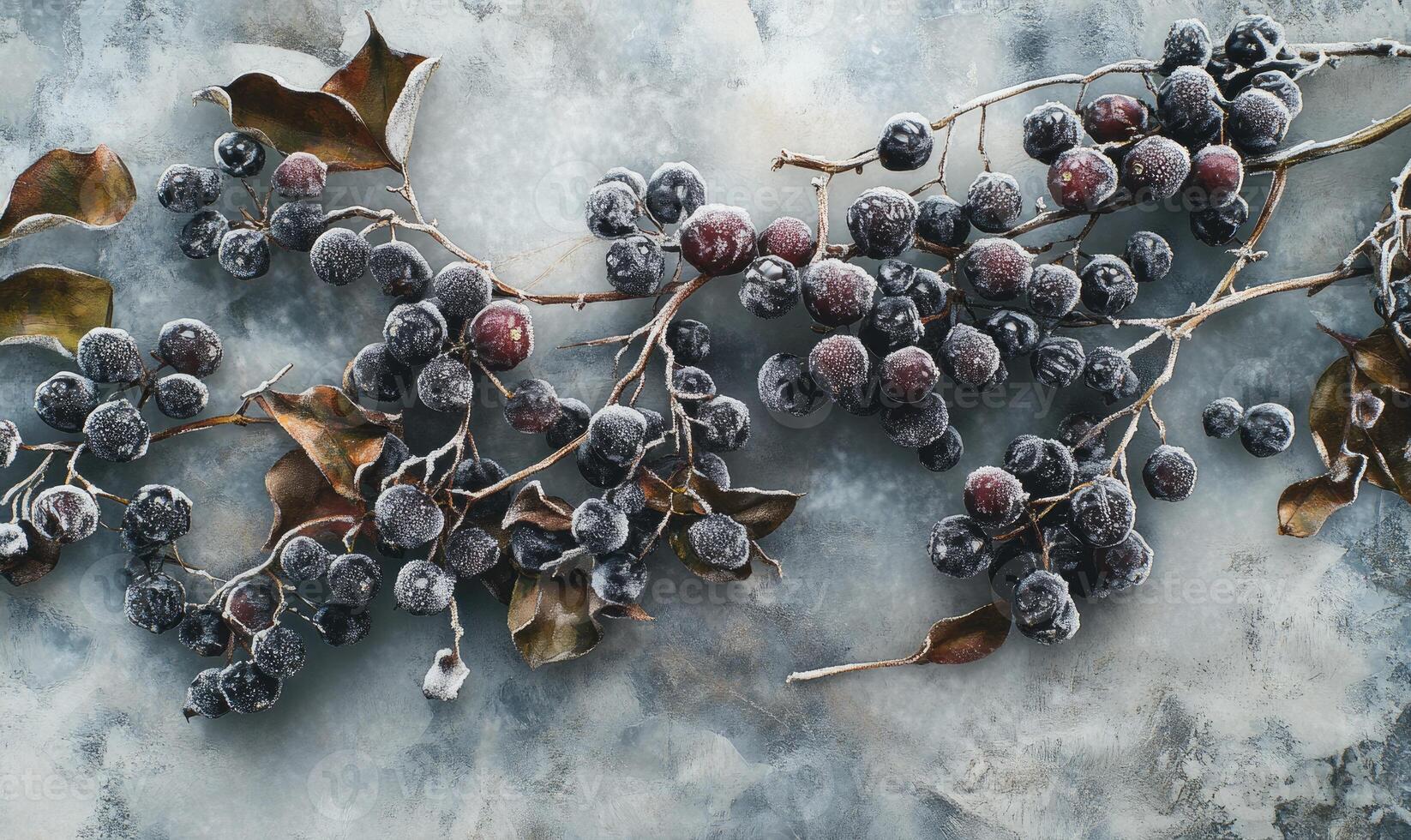 A frozen branch of grapes with a few leaves on it photo