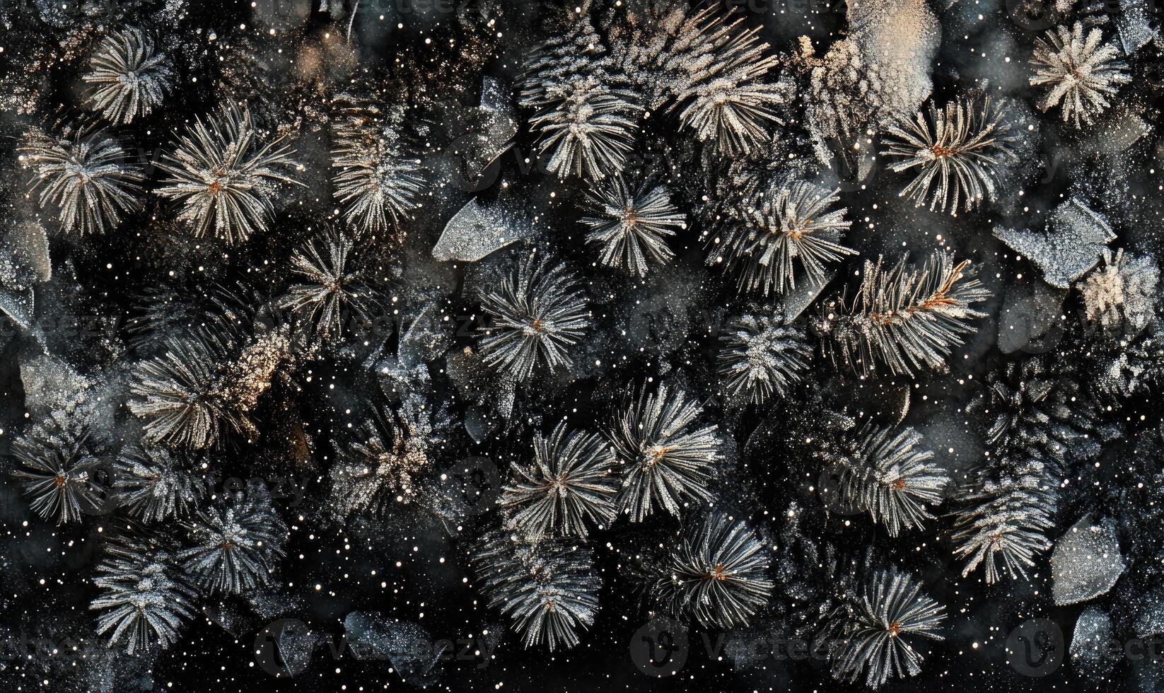 A close up of snow covered pine trees with a dark background photo