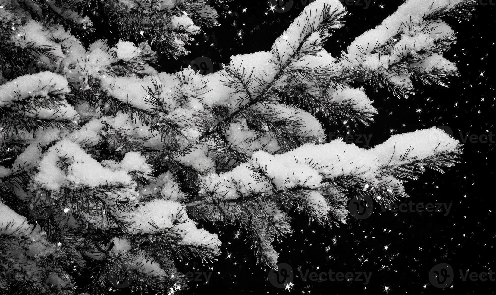 A tree branch covered in snow photo