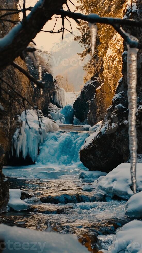 Icicles hang from branches over the frozen stream surface , wallpaper art photo