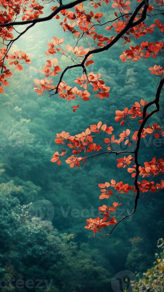 Tree branches showing leaf transitions across mountain slope , wallpaper art photo