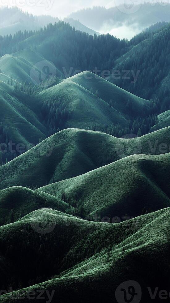 Fields patterning hillsides towards forest boundary , photorealistic wallpaper photo