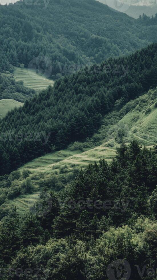 Fields patterning hillsides towards forest boundary , photorealistic photo