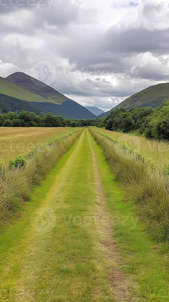 Hedgerows separating meadows leading towards hills , photorealistic photo
