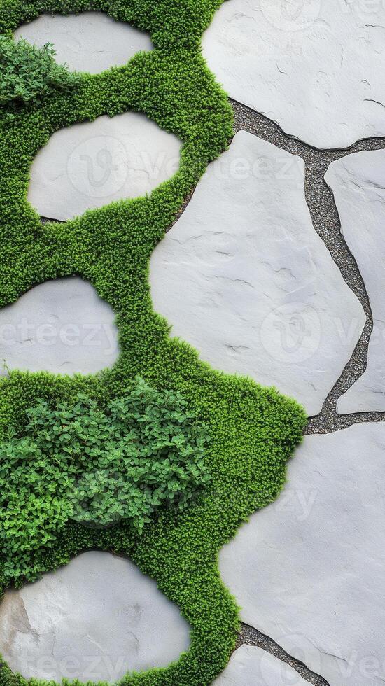 Moss patches grow between stepping stones near pavilions , photorealistic wallpaper photo