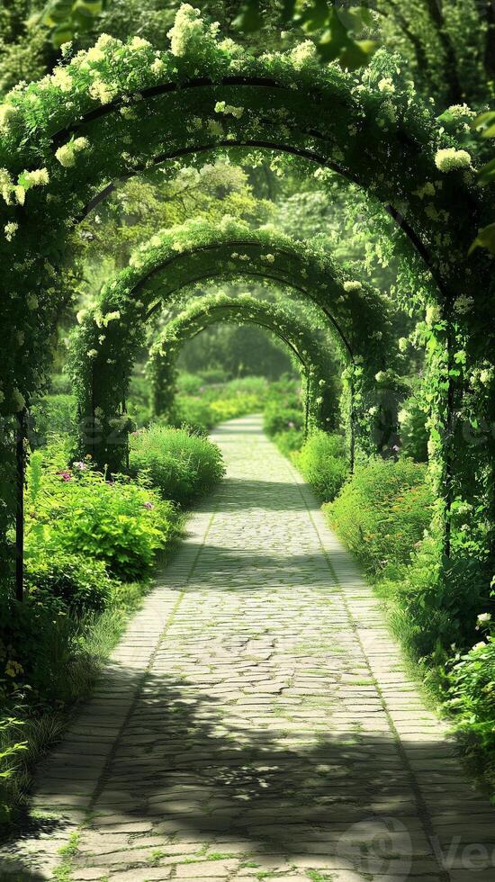 Pergolas shading pathways between garden sections , photorealistic photo
