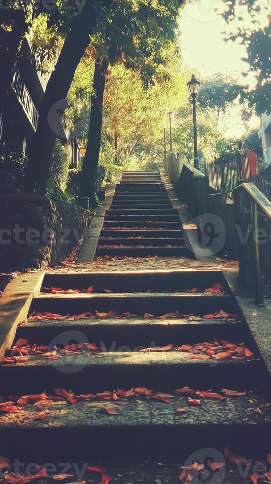 Steps leading up from street grade to plaza level, wallpaper art photo