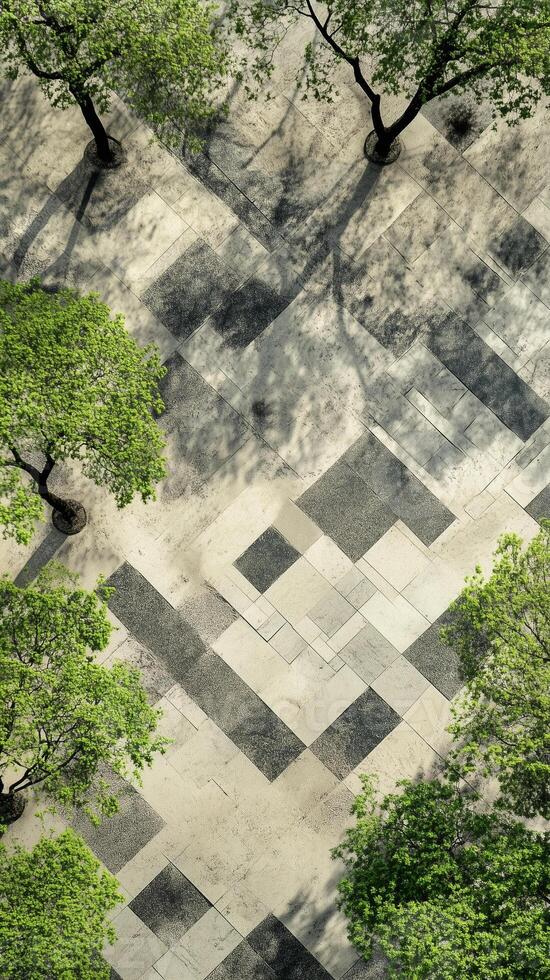 Trees arranged in patterns across plaza paving, wallpaper photo