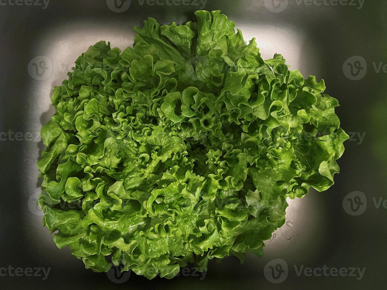 Green salad lettuce leaves in the sink top view close up. Fresh organic farm vegetable concept photo
