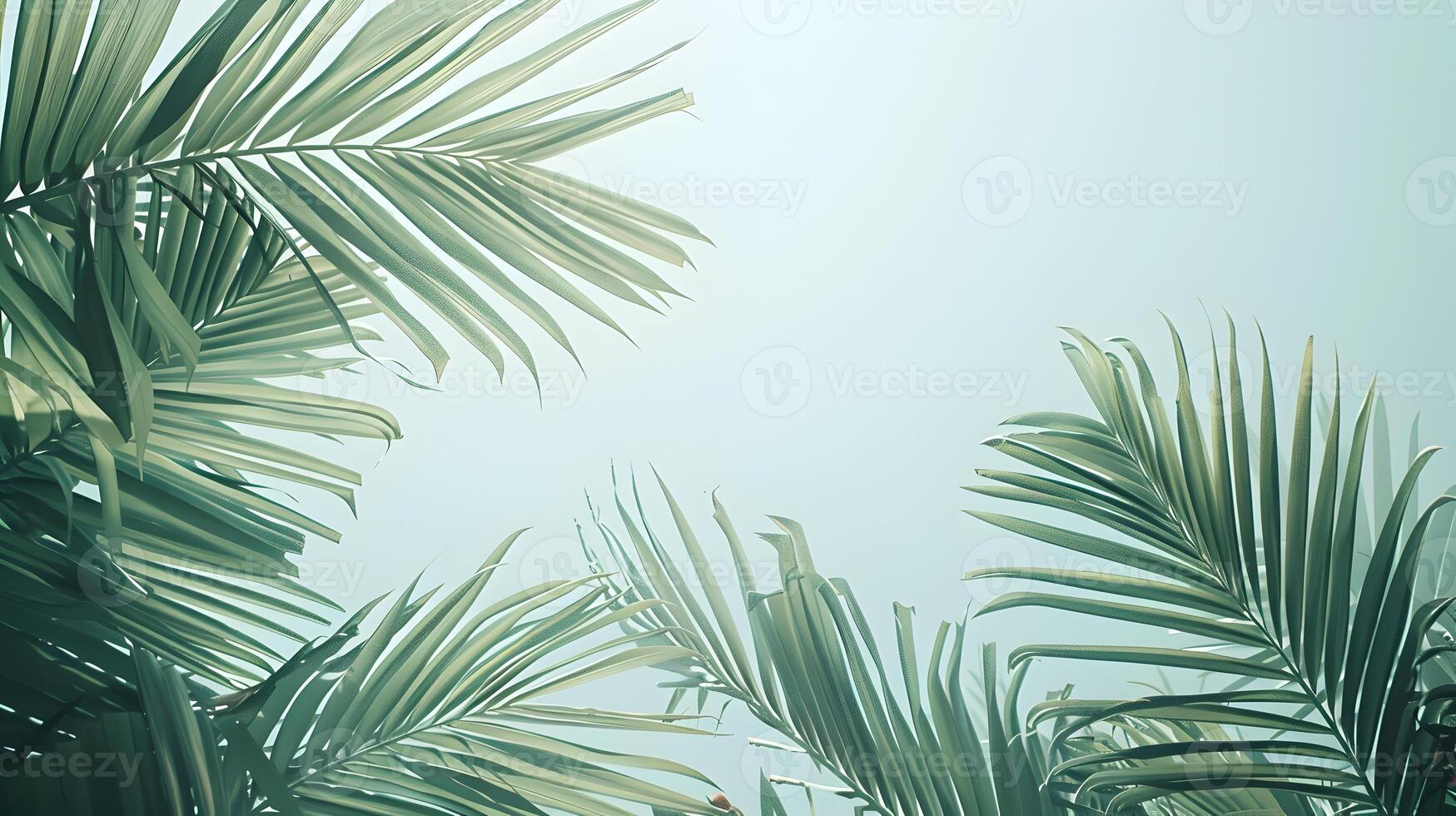 Overlapping Palm Fronds in Minimalist Tropical Paradise Scene photo