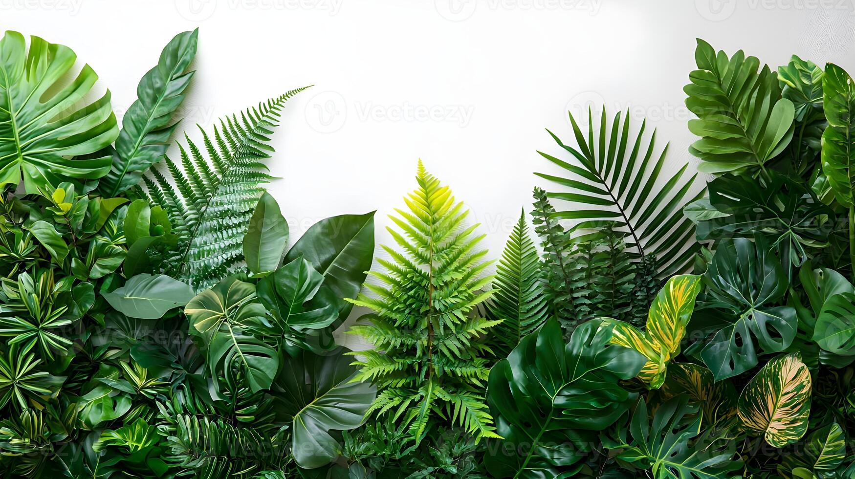 Lush Green Leaves and Tropical Foliage Displayed Against a White Background for Natura photo