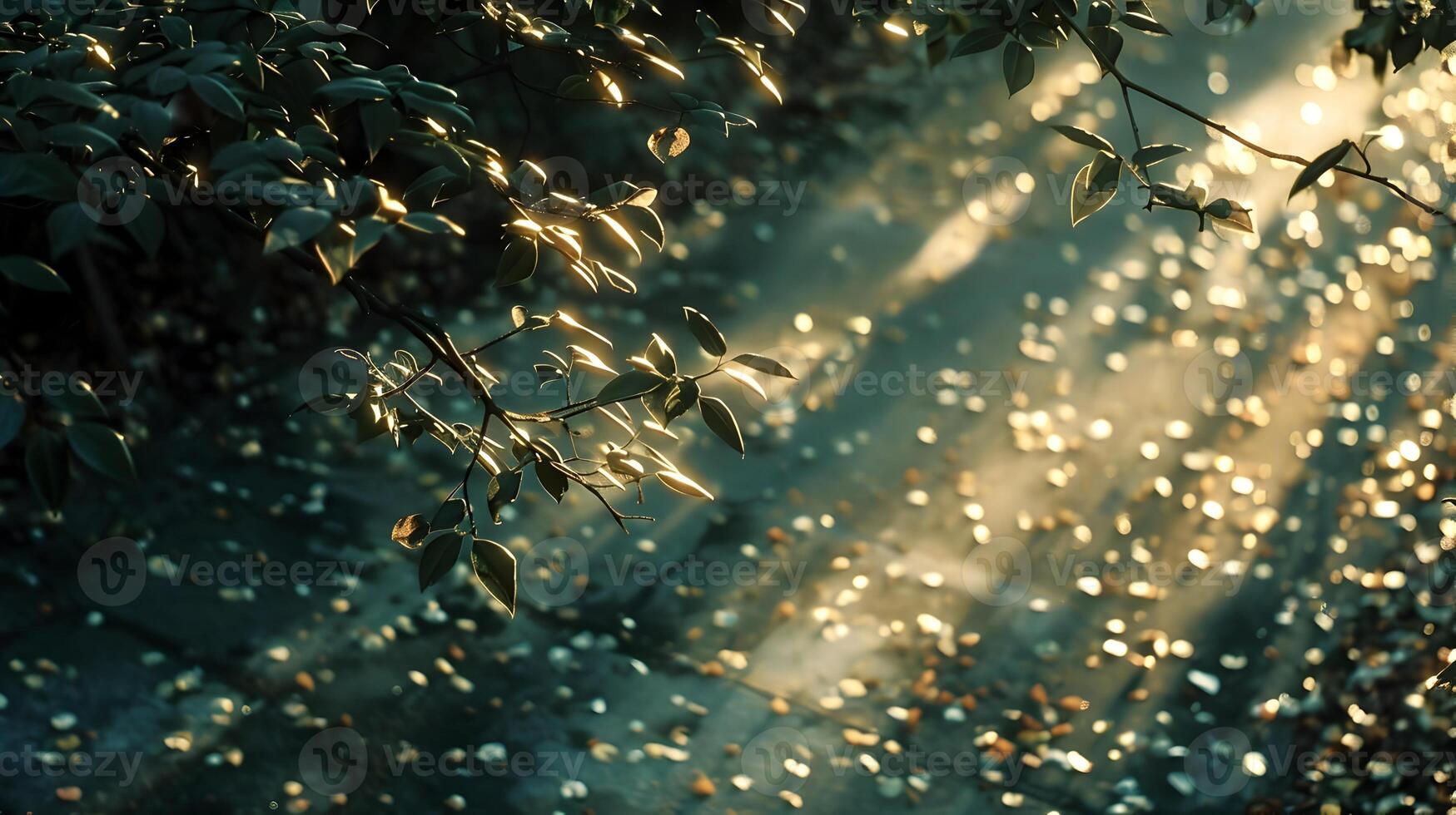 Sunlight Dappling Through Branches Casting Soft Shadows on the Ground photo