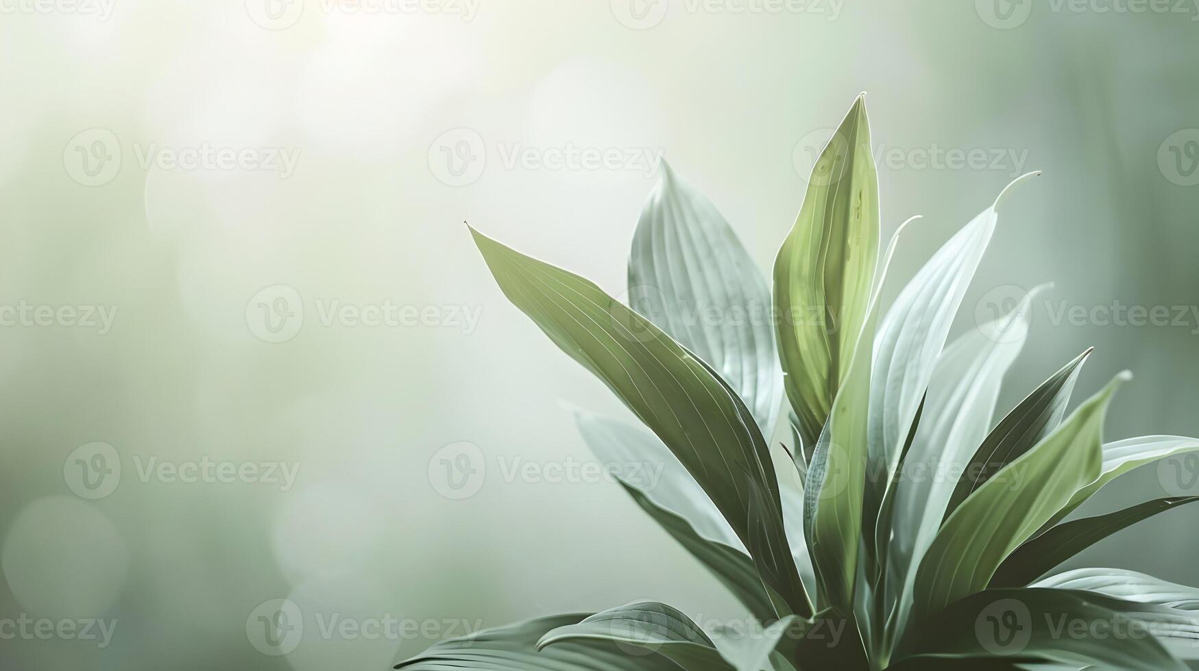 Minimalist Cluster of Fresh Leaves with Blurred Backdrop photo
