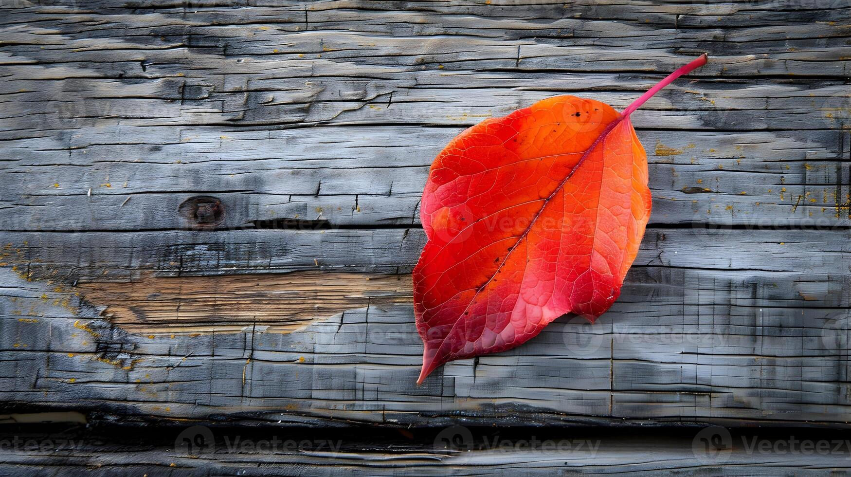 Vibrant Autumn Leaf on Minimalist Wooden Surface photo