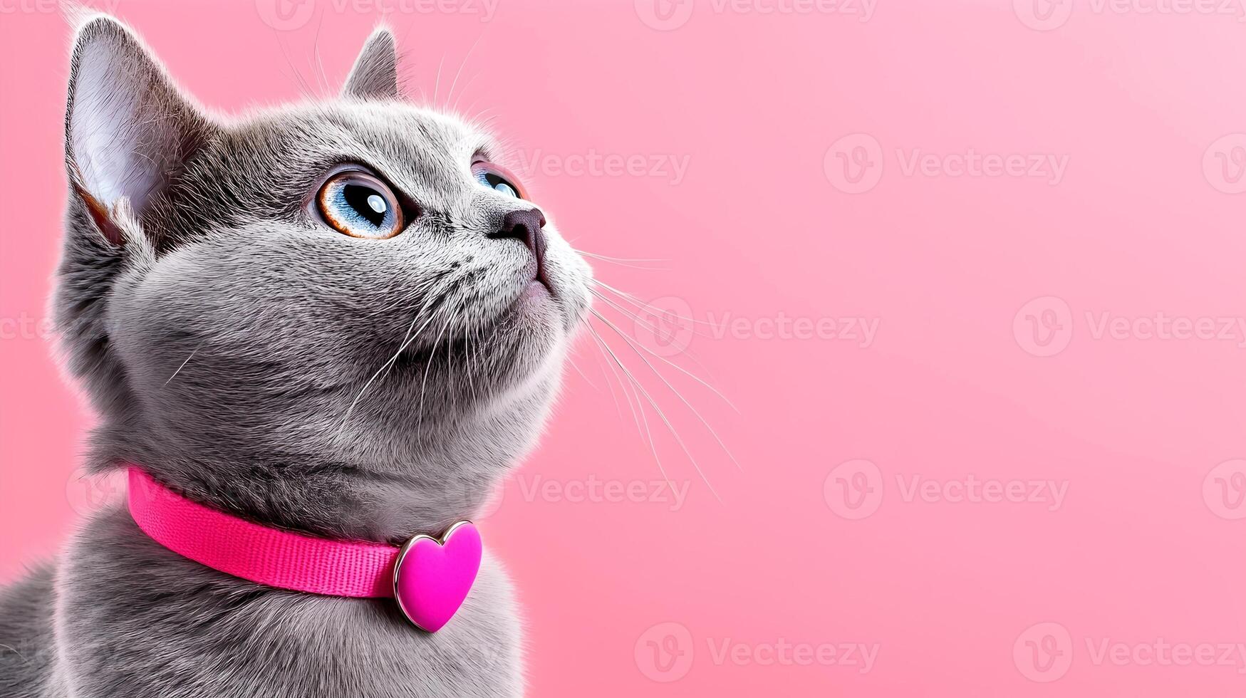 Charming Grey Cat with Heart Shaped Collar on Soft Pastel Pink Background photo