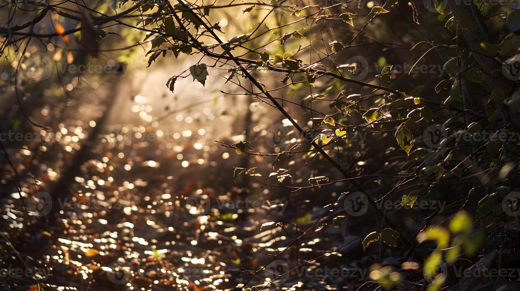 Soft Sunlight Dappling Through Lush Foliage Creating a Tranquil Woodland Scene photo
