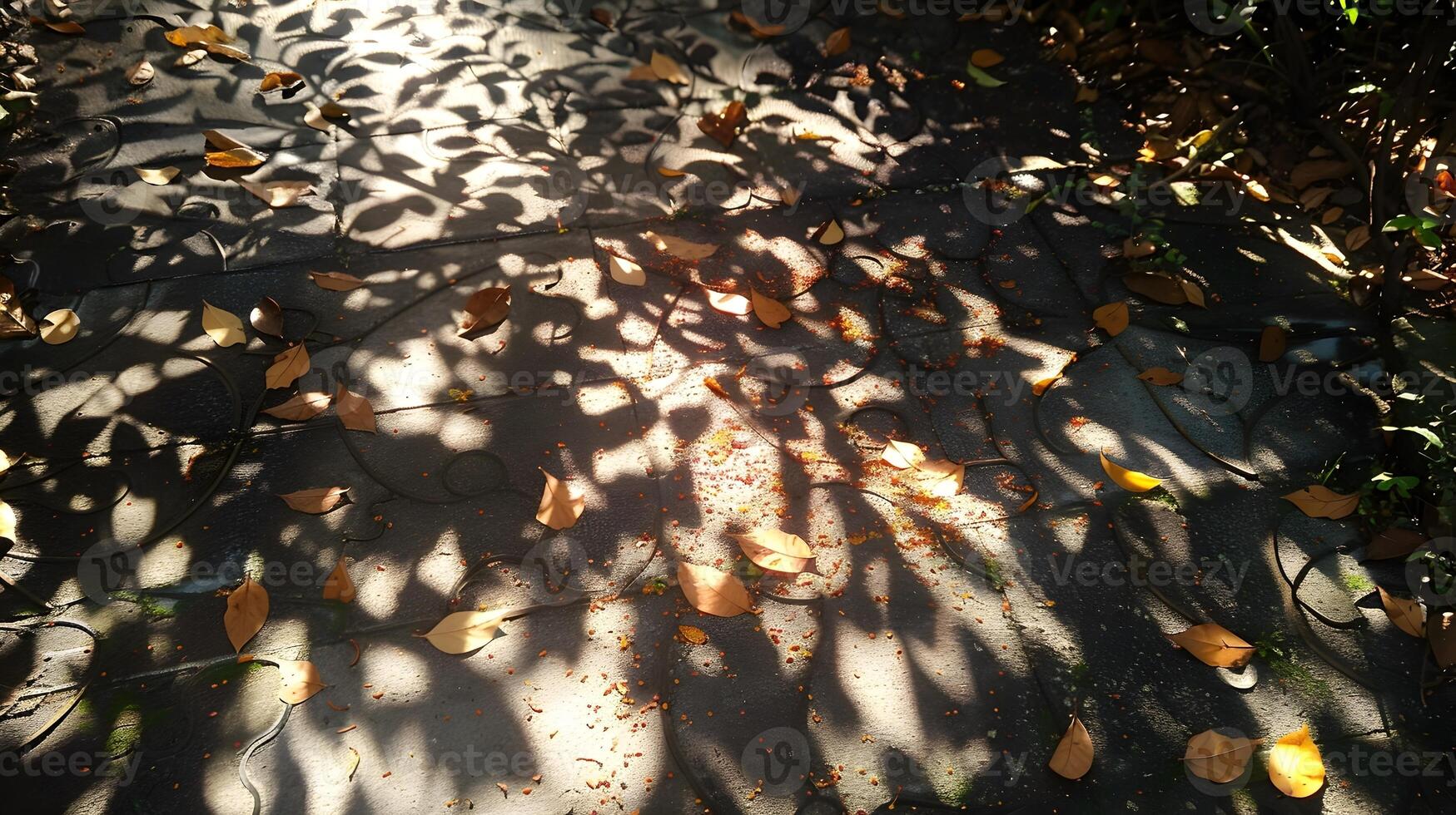 Intricate Sunlight Patterns Filtering Through Lush Foliage photo