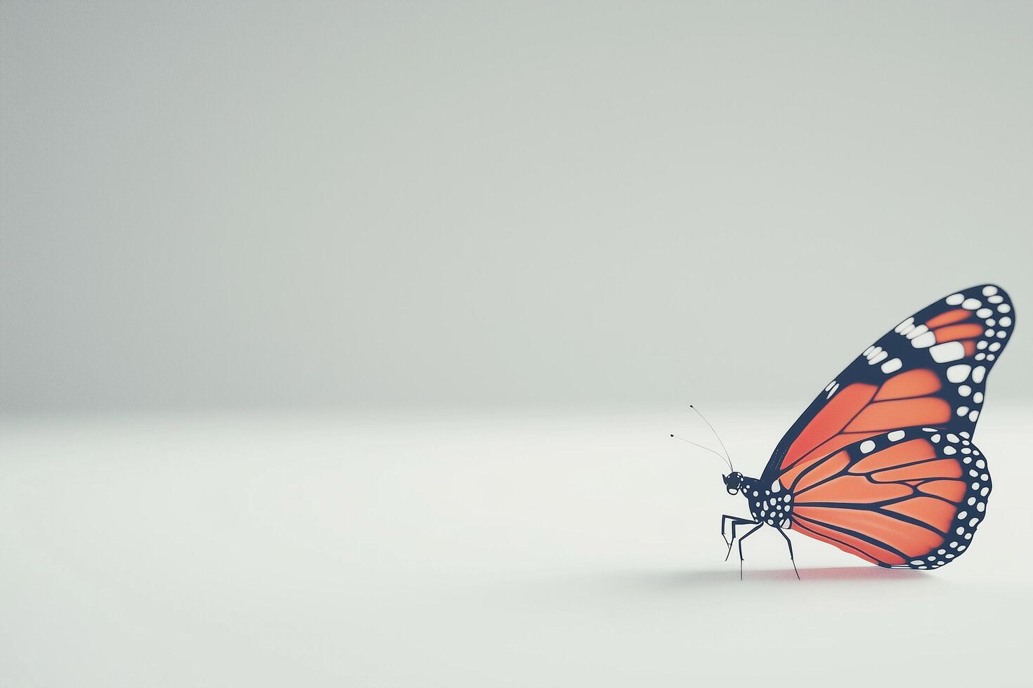 Isolated Butterfly on White Background, Captivating Insect Displaying Vivid Orange and Black Colors, Ideal for Nature, Wildlife, and Travel Themes photo