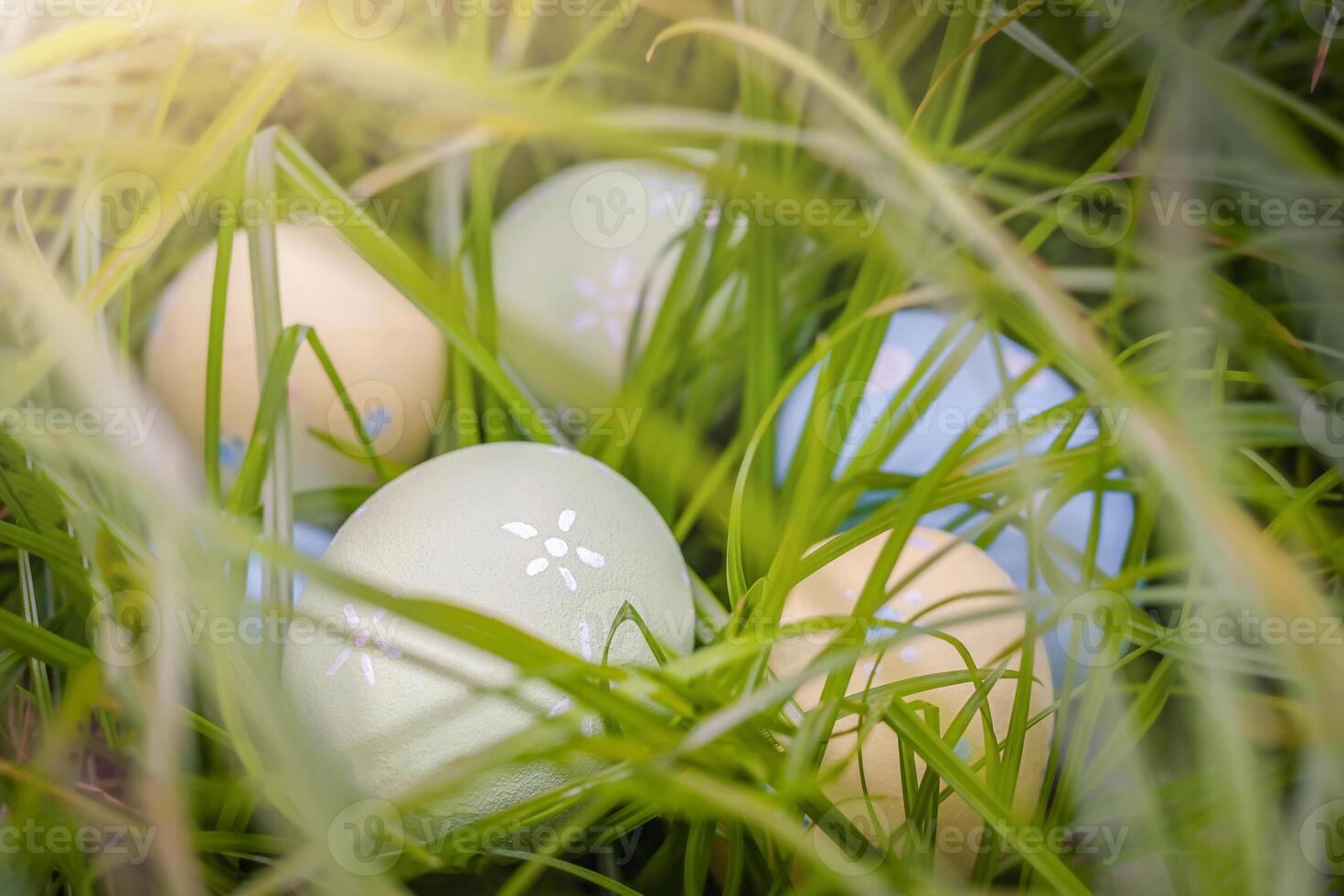 Easter eggs in the grass. photo