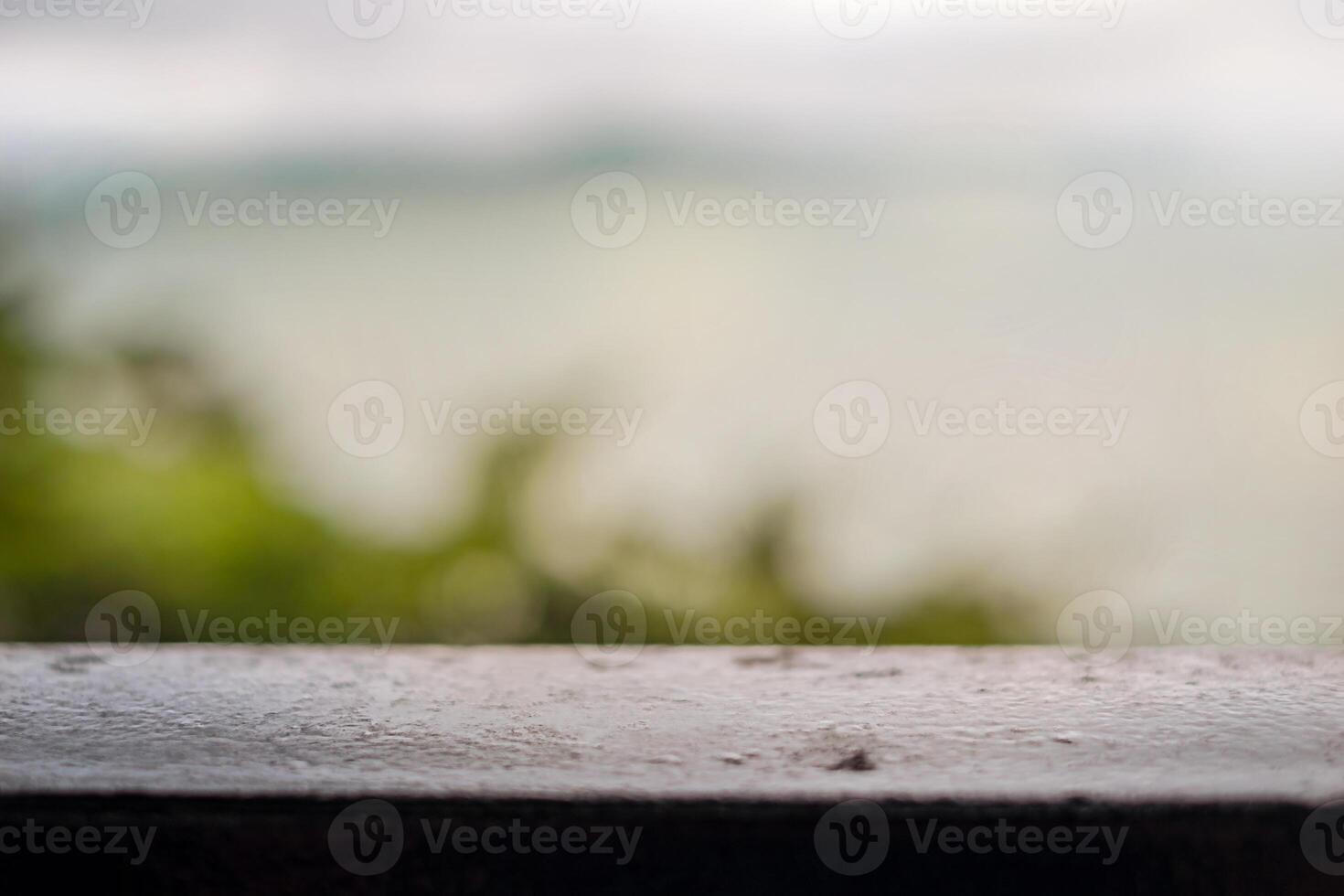 Blurred background tree and sea. metal railing photo