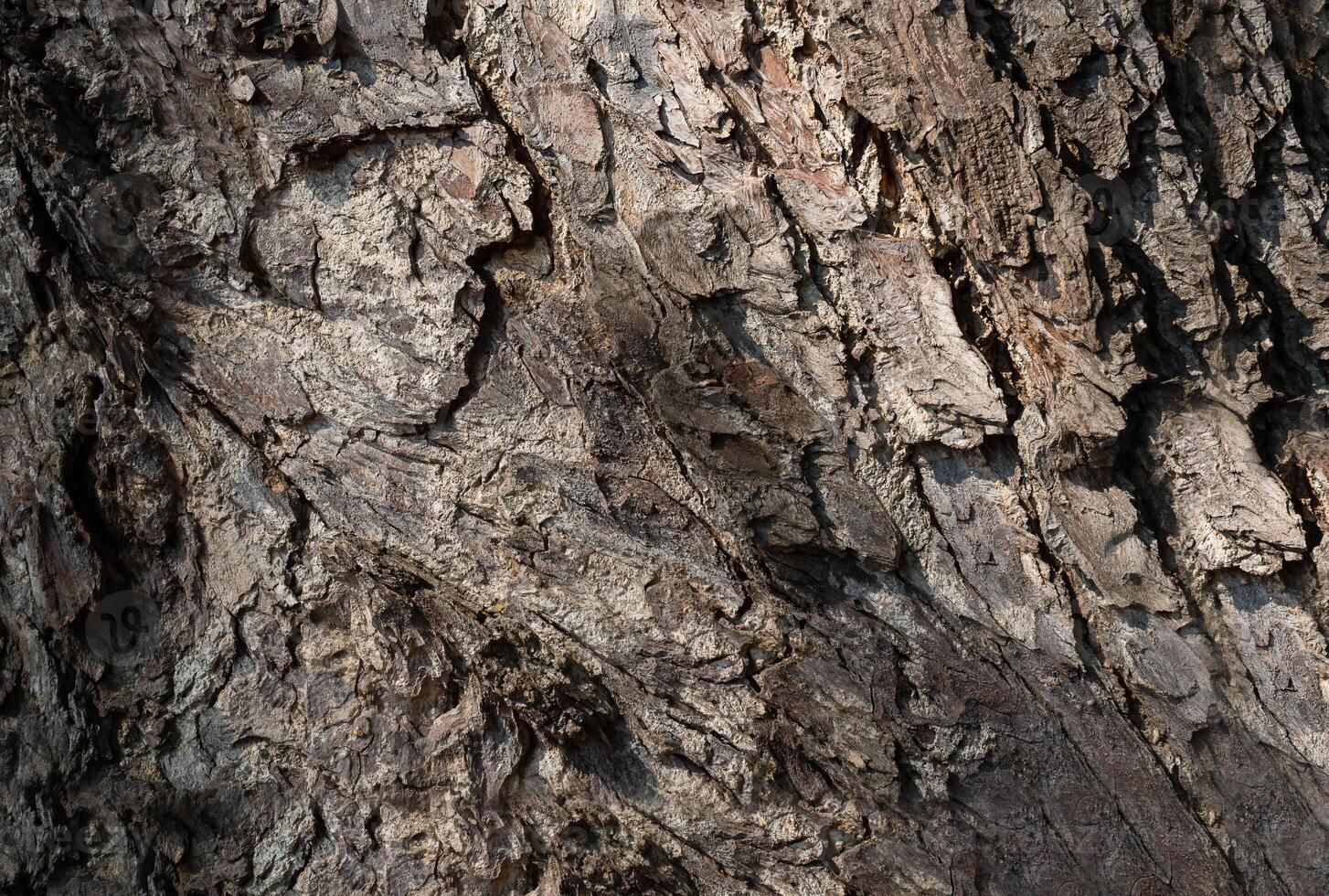 Dark tree bark background photo