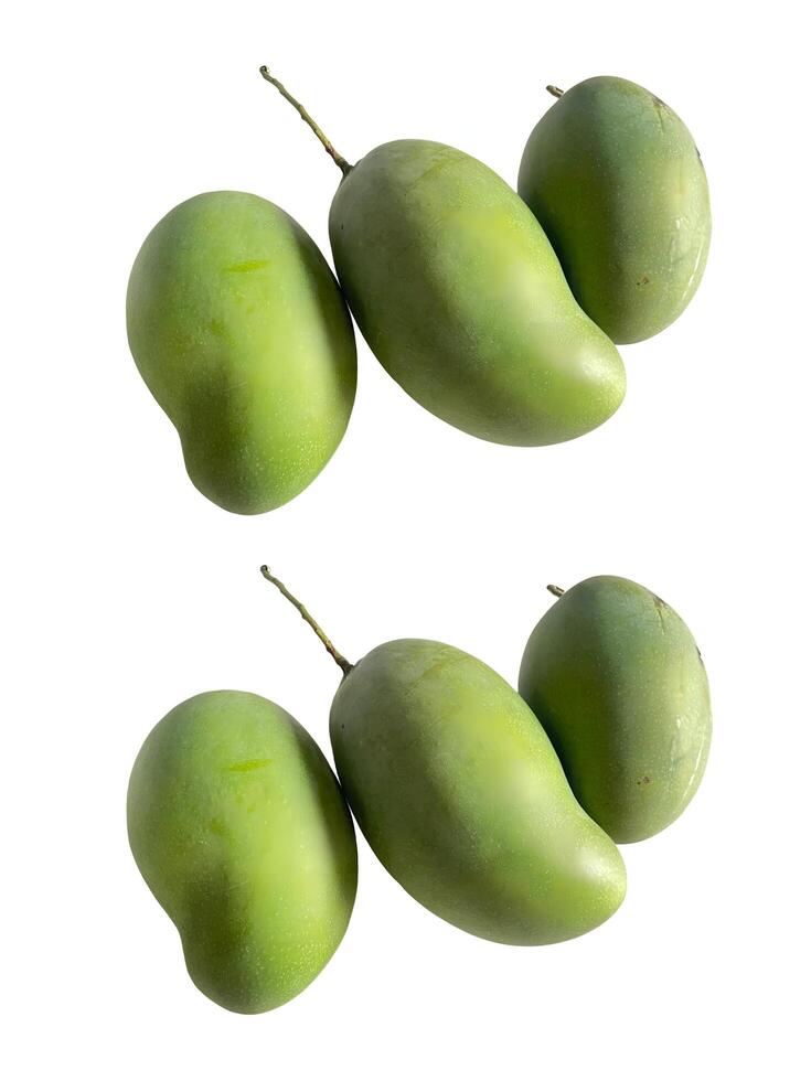 A Closeup of Six Green Unripe Mangoes Isolated on White Background, Fresh Tropical Fruits Ready to Ripen photo