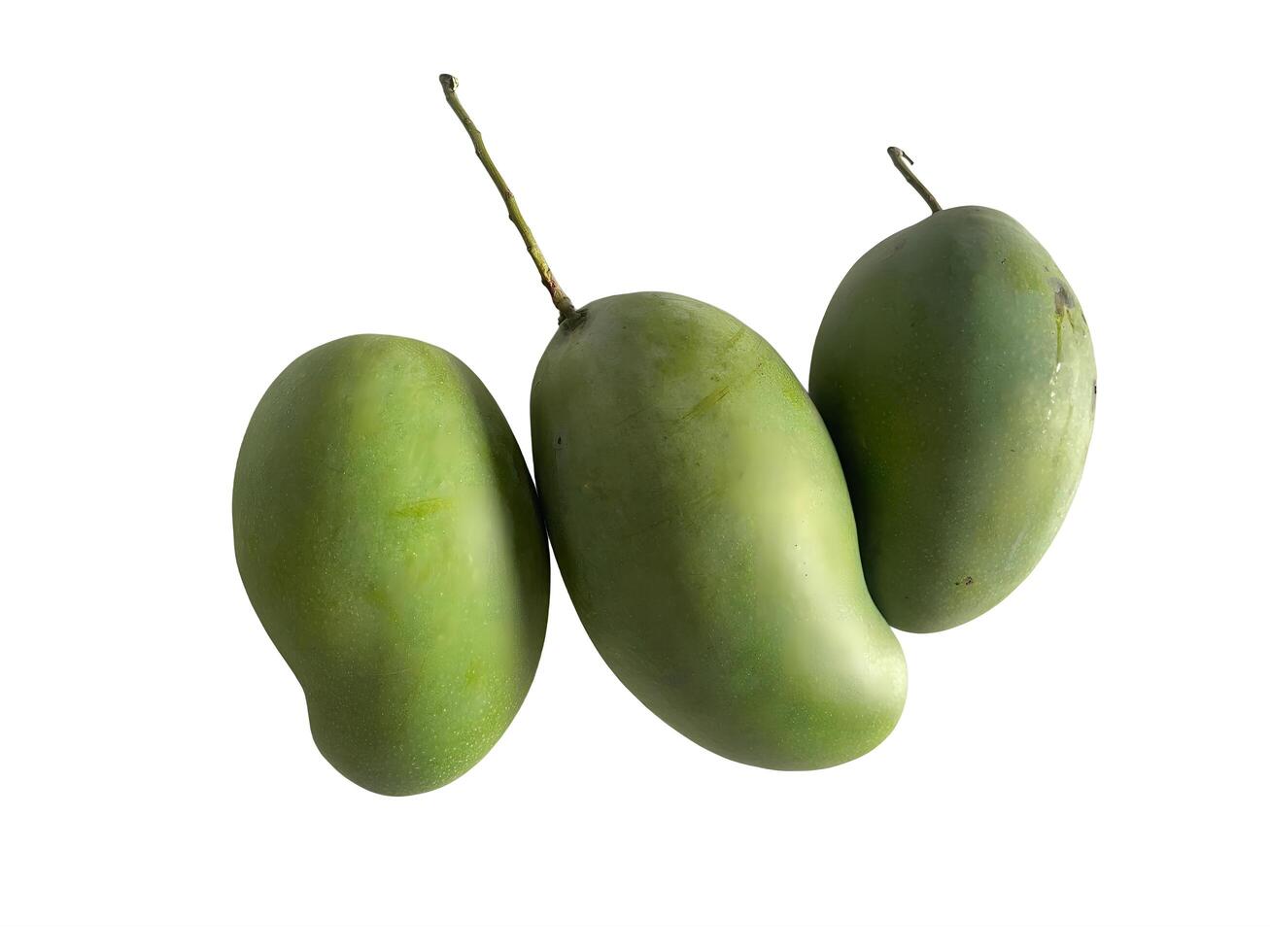 Three Green Mangoes Freshly Harvested Ready to Eat Delicious Tropical Fruit photo