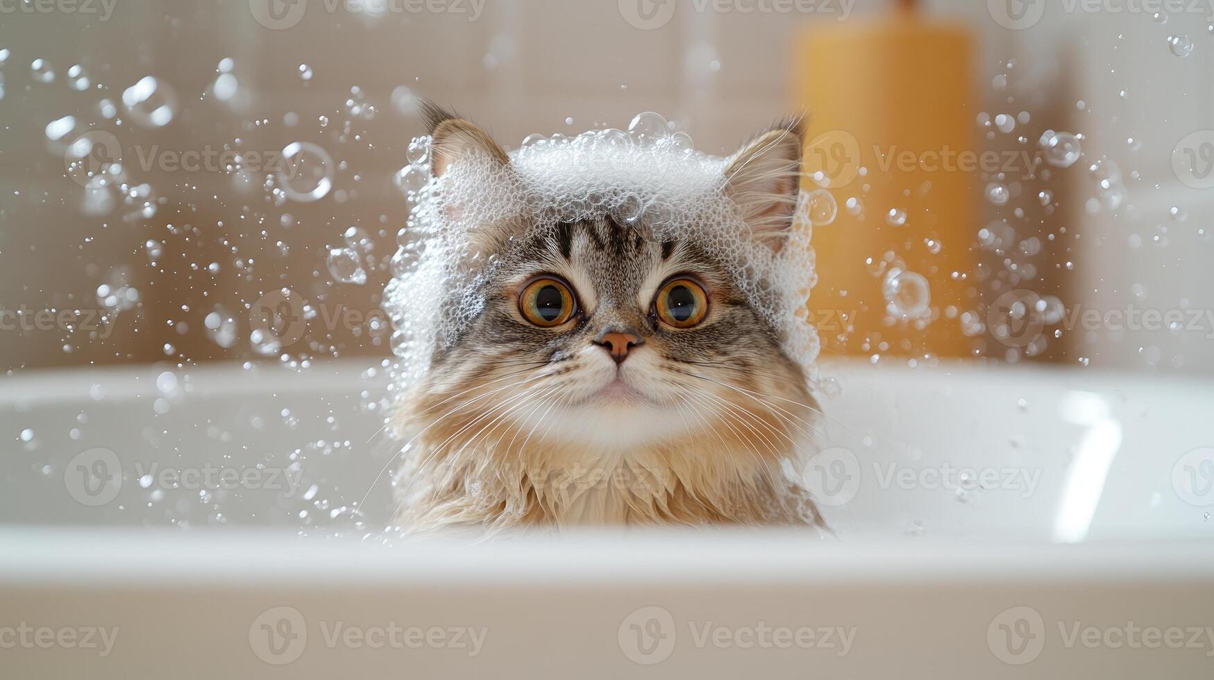 A fluffy cat with wide eyes experiences a bubbly bath, surrounded by splashes and warm lighting photo