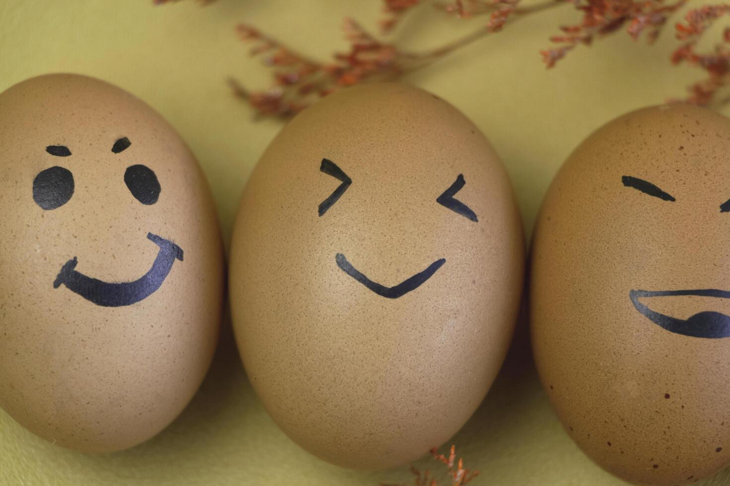 Egg with brown shell paint by black ink in Smile face theme, photo