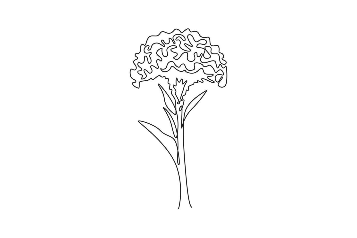 Single one line drawing beauty fresh wool flowers for garden logo. Printable decorative cockscomb flower for home wall decor art poster print. Continuous line draw design graphic illustration vector