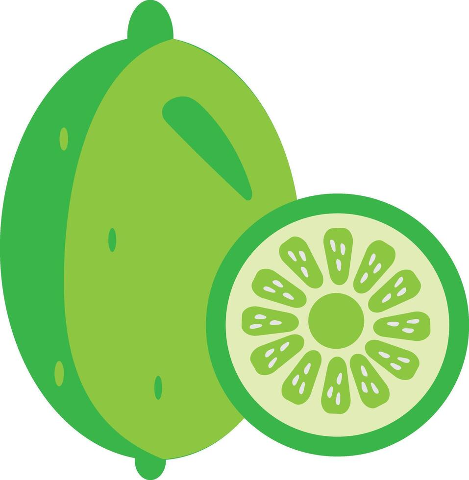 Green Lemon fruit Design elements. watercolor style illustration vector