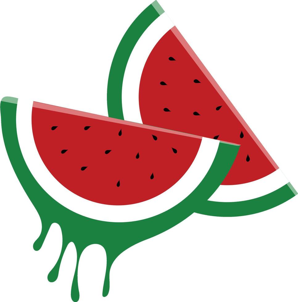 Ripe watermelon and juicy piece on a white. Isolated vector