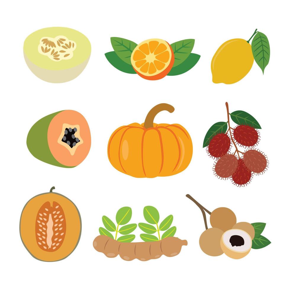 Tropical Fruits Extravaganza vector