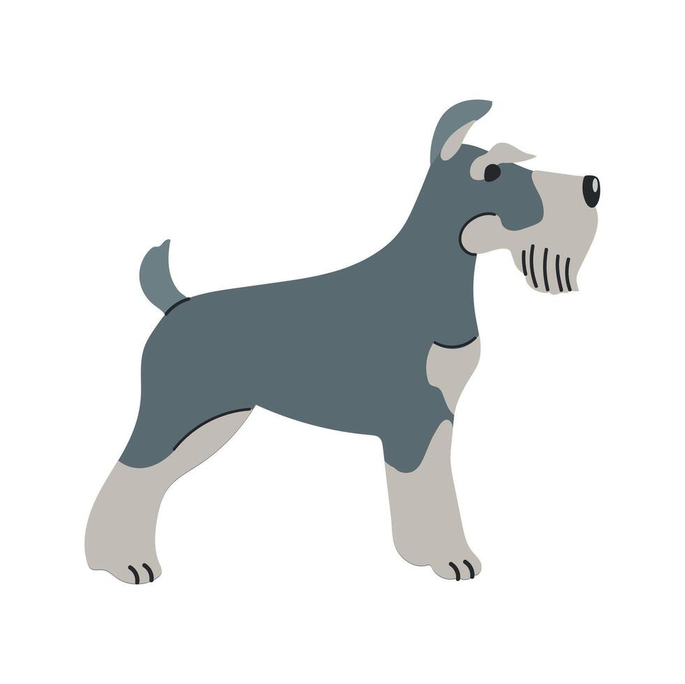 Miniature schnauzer icon clipart avatar logotype isolated illustration vector