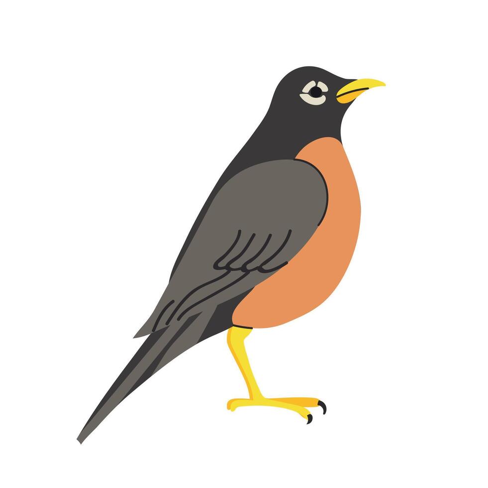 American robin icon clipart avatar logotype isolated illustration vector