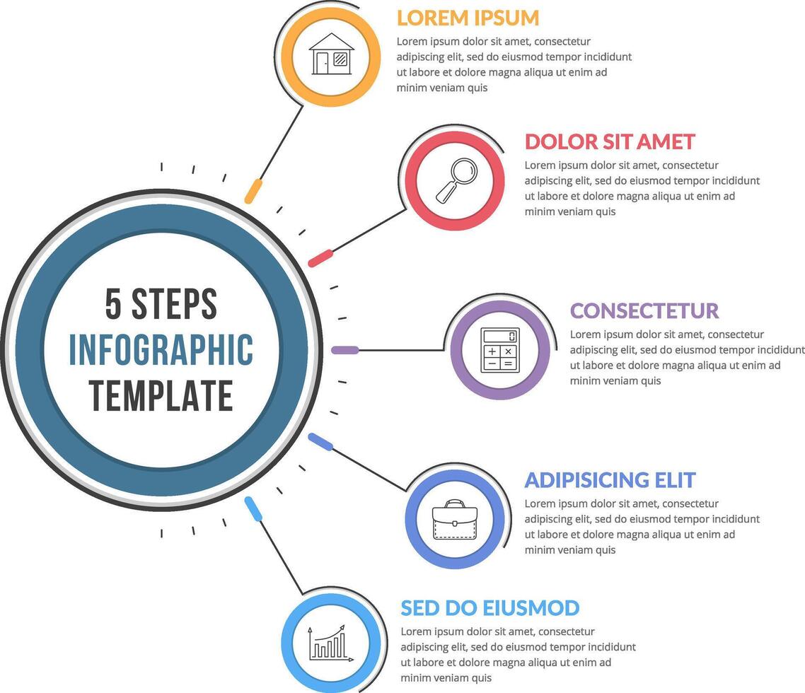 Infographic template with five steps or options, workflow, process diagram vector