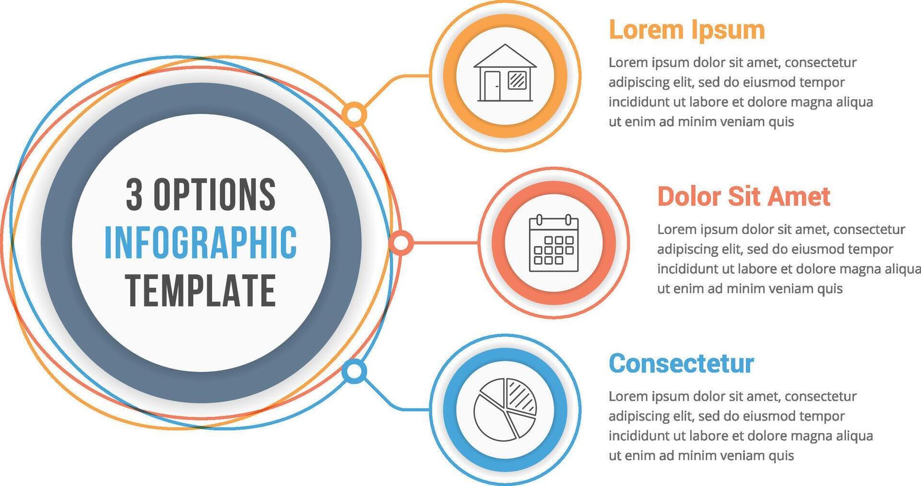 Circle infographic template with three steps or options, workflow or process diagram vector